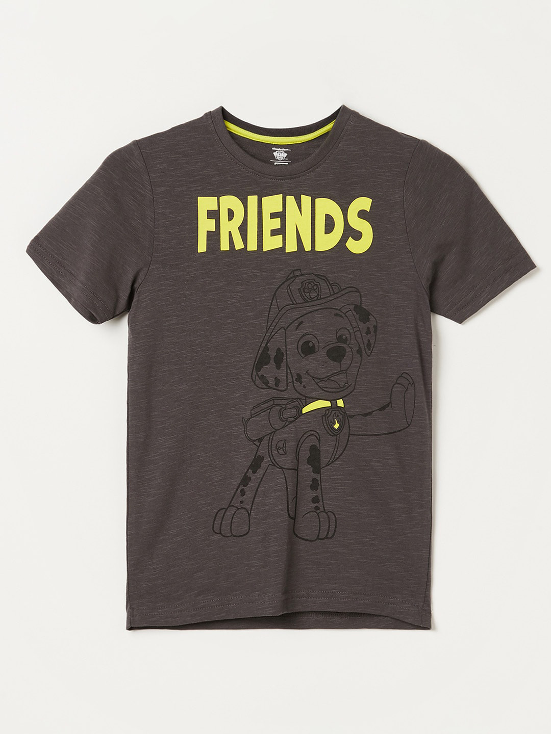 

Fame Forever by Lifestyle Boys Paw Patrol Printed Pure Cotton T-shirt, Grey