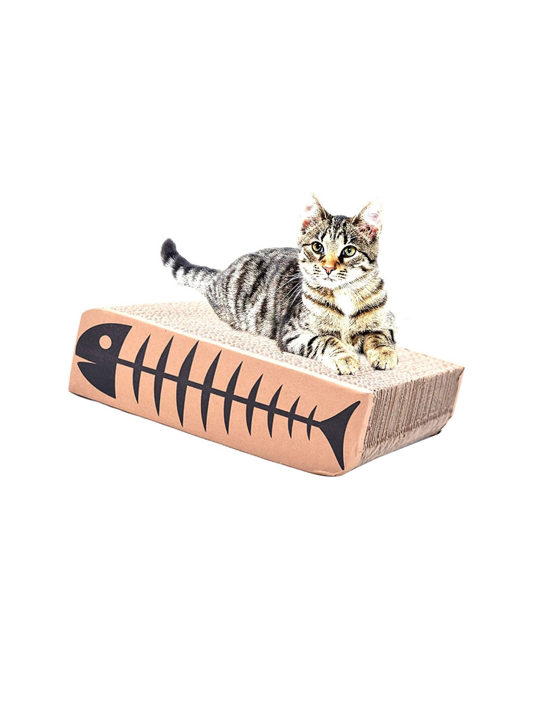 

Emily pets Beige-Colored Reversible Pet Scratcher Cardboard