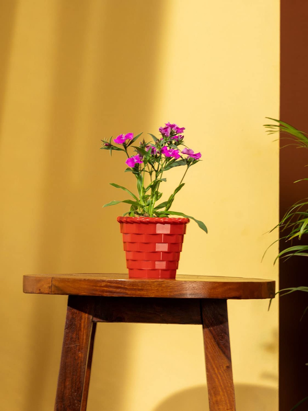 

TrustBasket Yellow & White Set Of 4 Brick Textured Planters