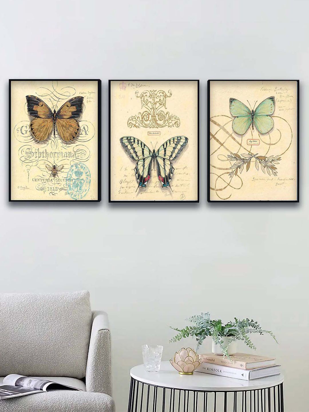 

Art Street Set Of 3 Beige & Black Butterfly Vintage Painting Framed Wall Art