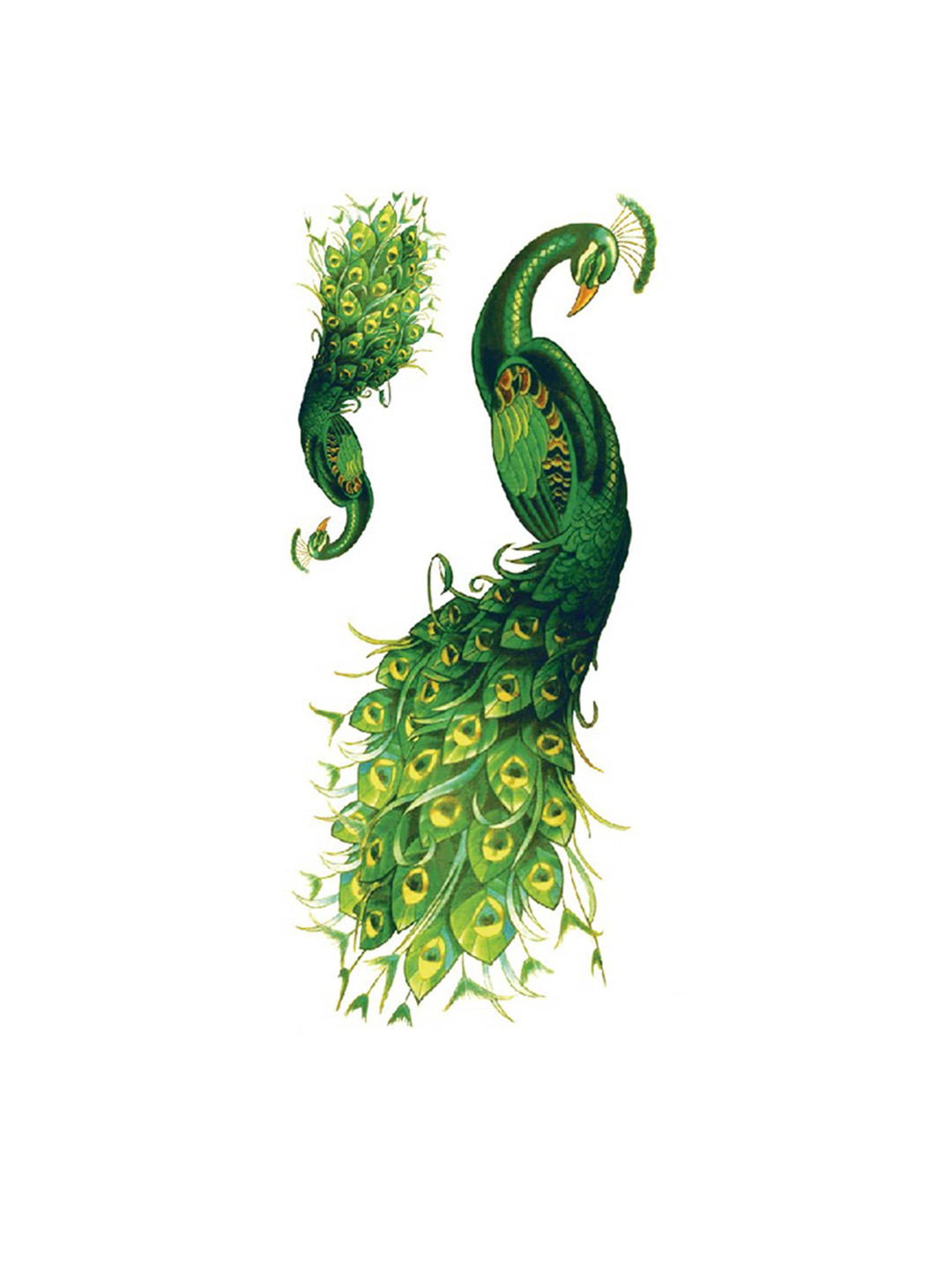 

S.A.V.I. 2 Peacock Water Proof & Long Lasting Temporary Tattoo Sticker - Green