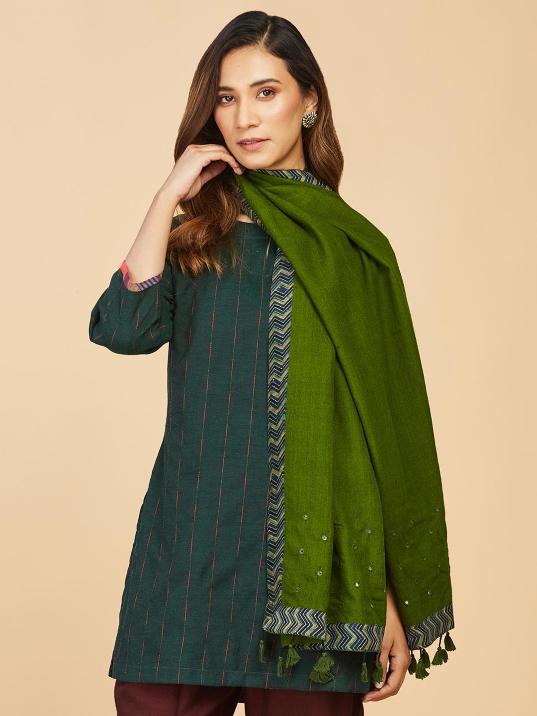 

Fabindia Women Embroidered Wool Stole, Green