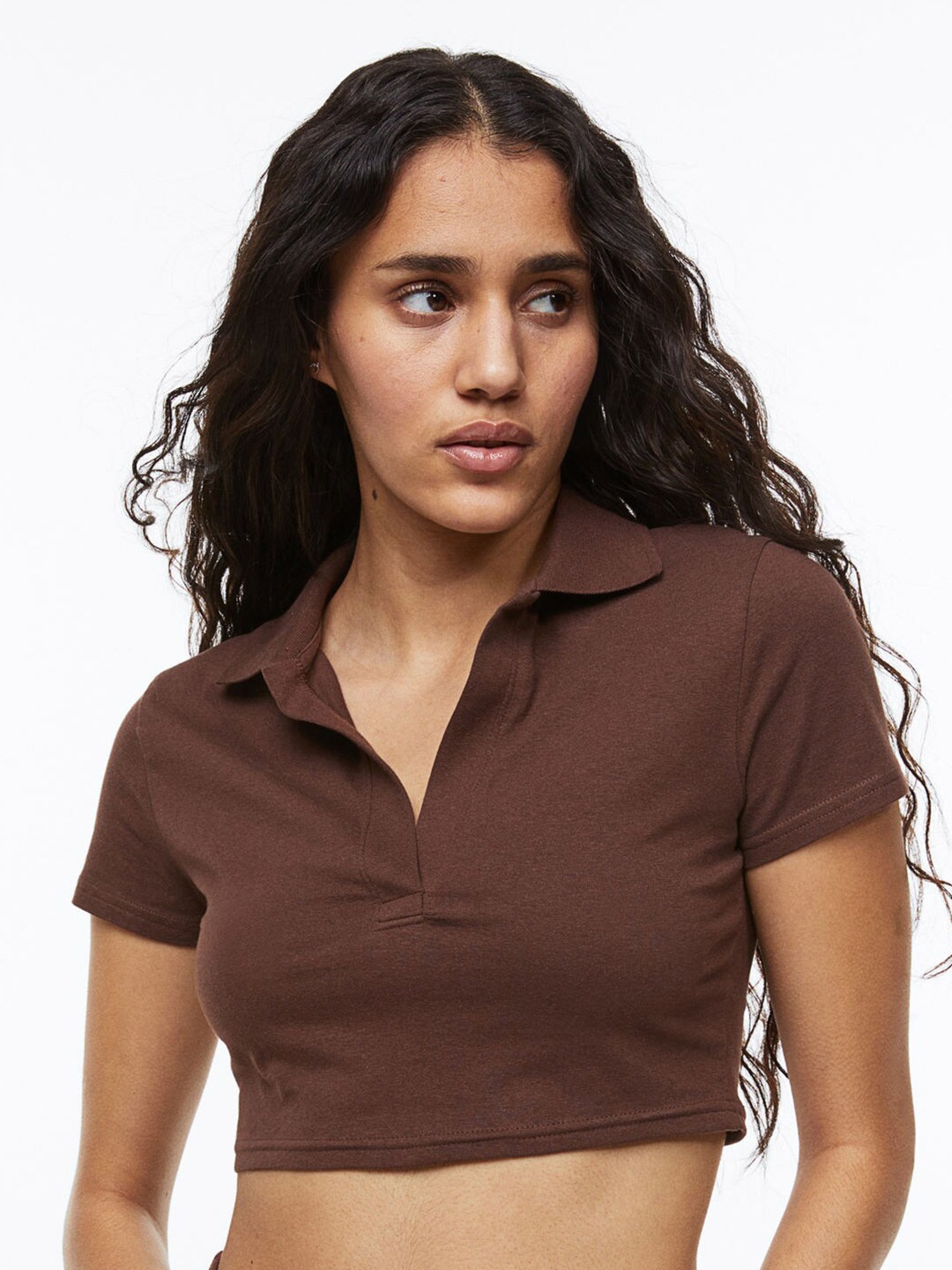 

H&M Women Collared Cropped Top, Brown