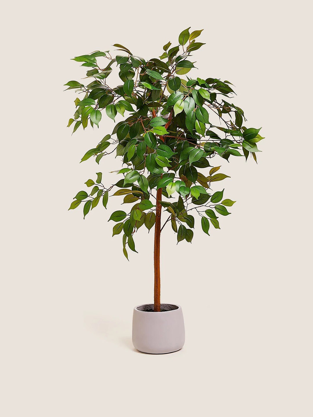 

Marks & Spencer Green & Grey Ficus Artificial Plant With Pot
