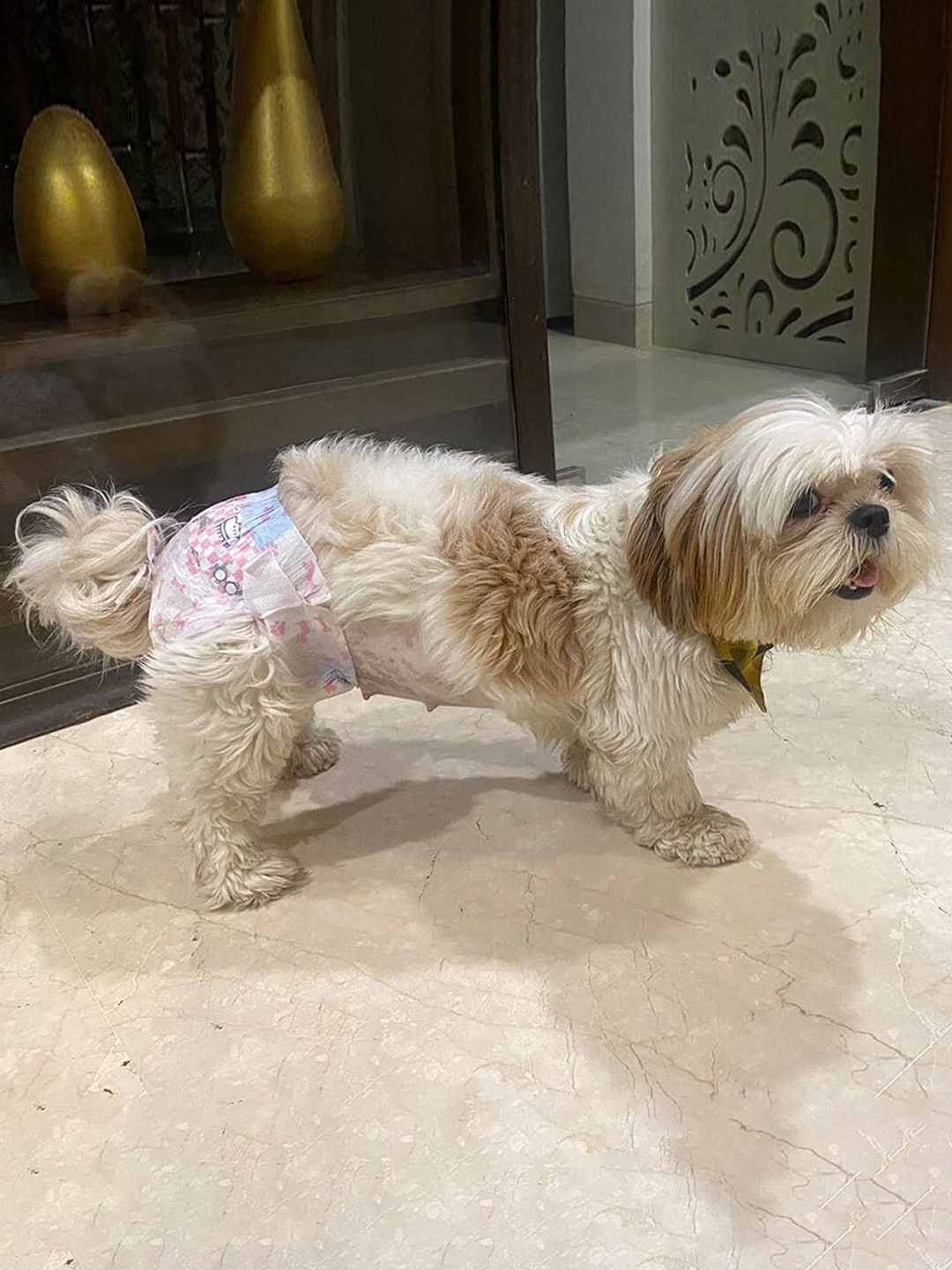 

Emily pets Disposable Super Absorbent Puppy Female Pet Diapers, Pink