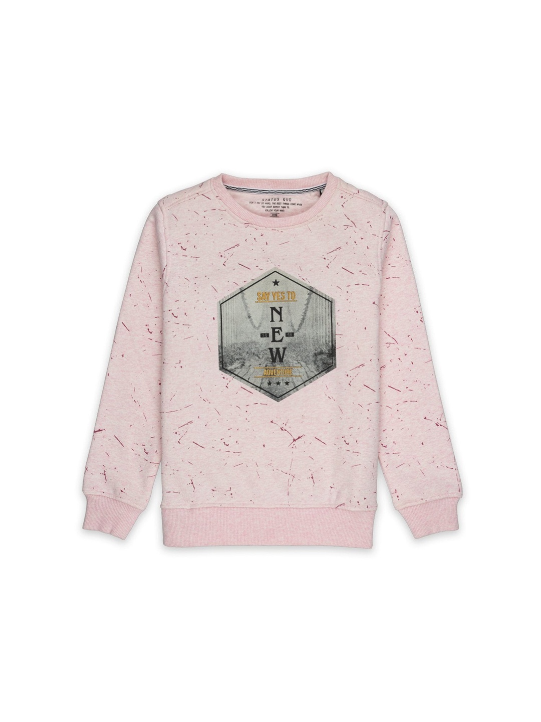 

Status Quo Boys Printed Cotton Sweatshirt, Pink
