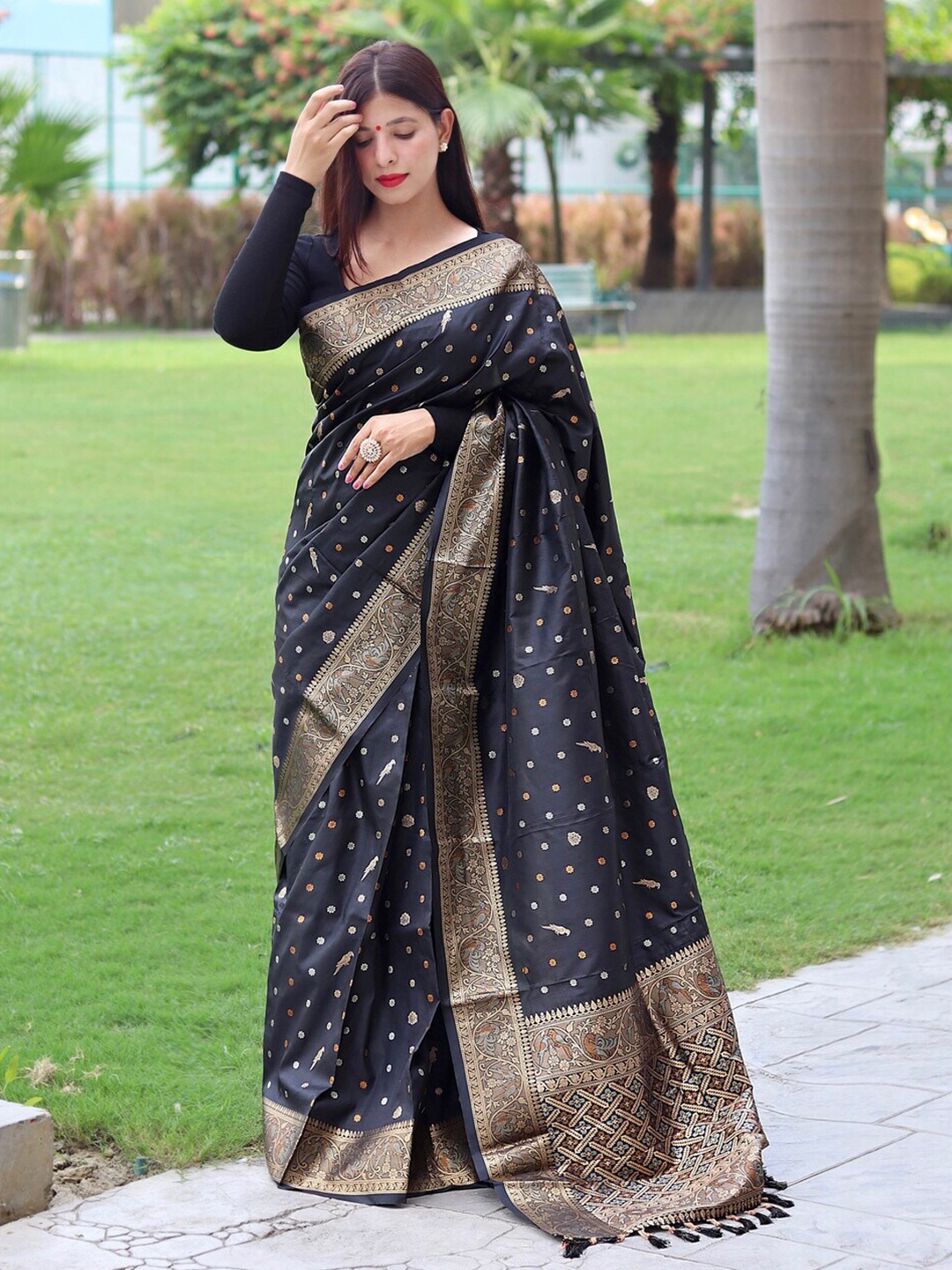 

Exclusiva Woven Design Zari Banarasi Saree, Black