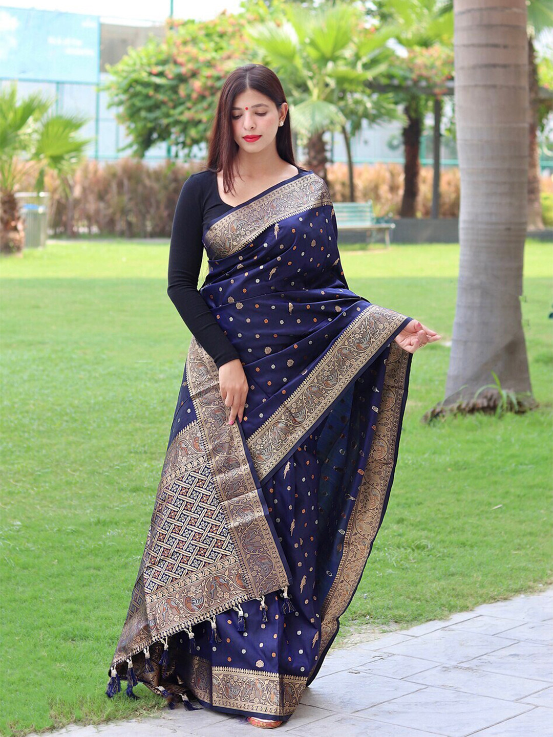 

Exclusiva Woven Design Zari Banarasi Saree, Navy blue