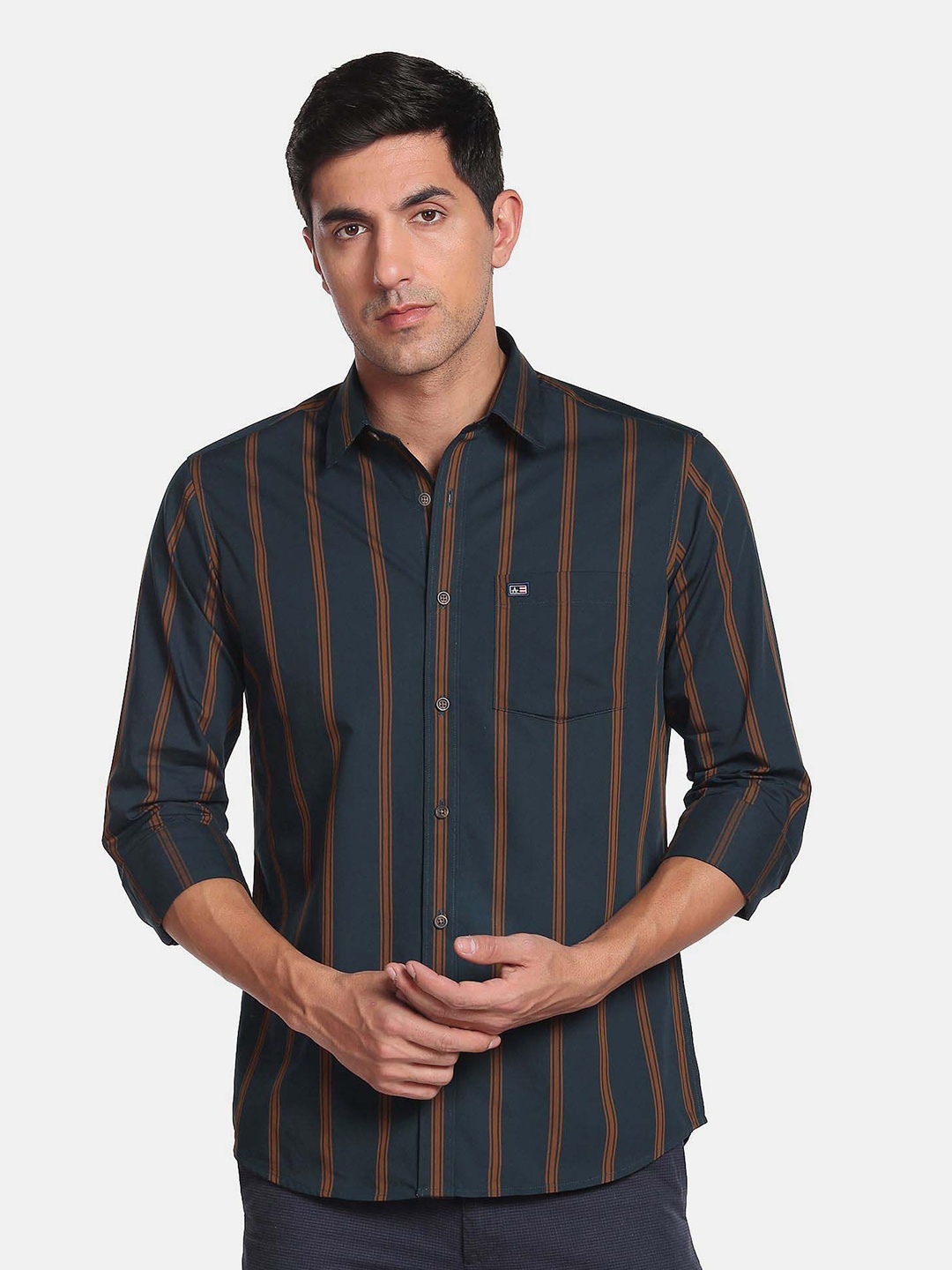 

Arrow Sport Men Slim Fit Striped Casual Pure Cotton Shirt, Green