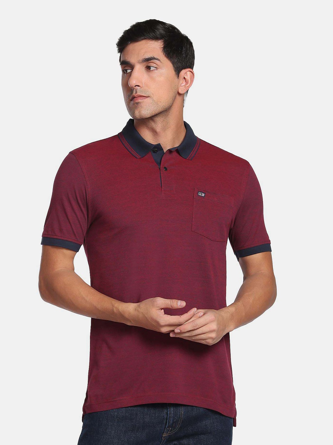 

Arrow Sport Men Polo Collar Pure Cotton T-shirt, Red