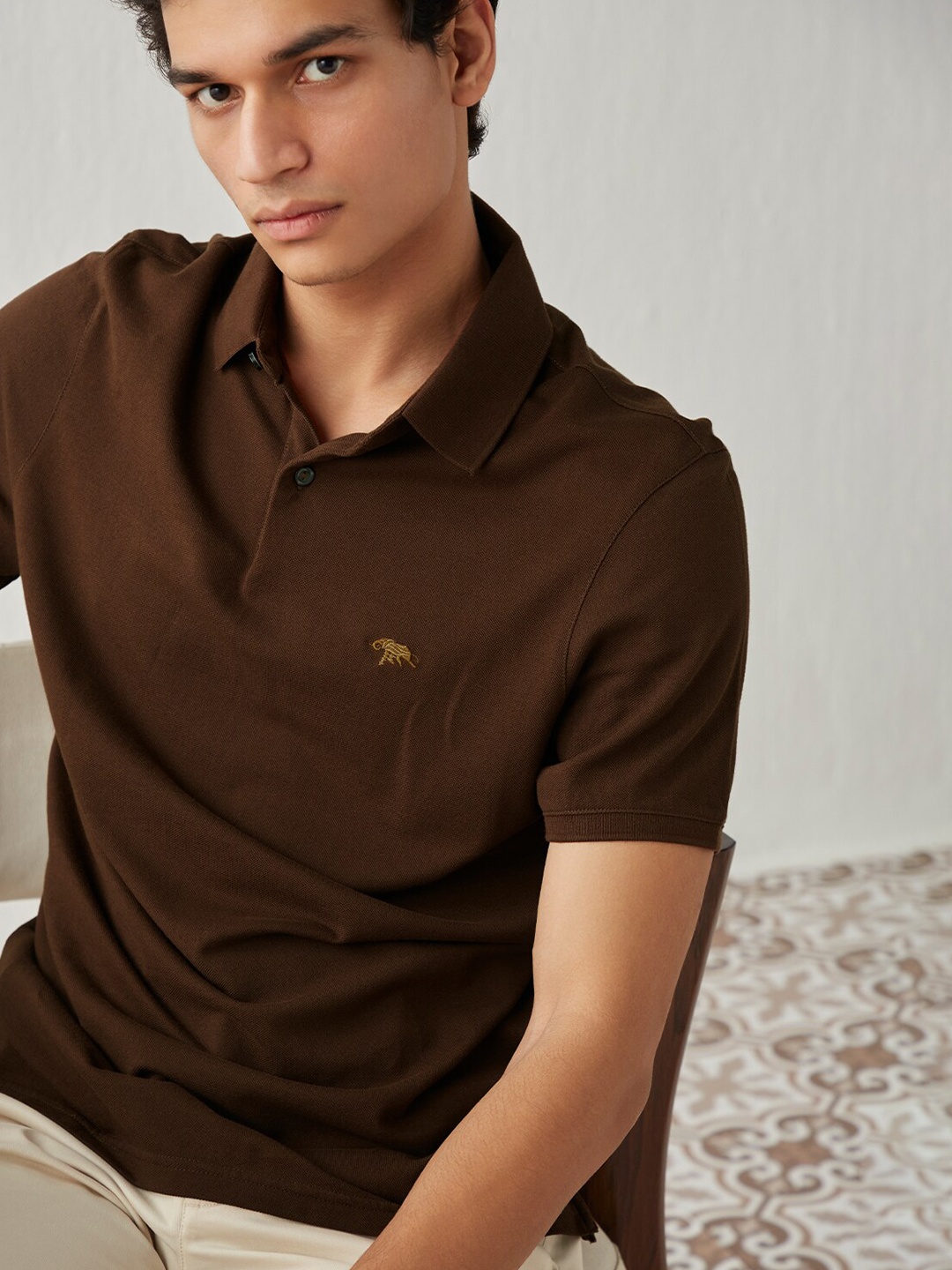 

Andamen Men Polo Collar Cotton T-shirt, Brown