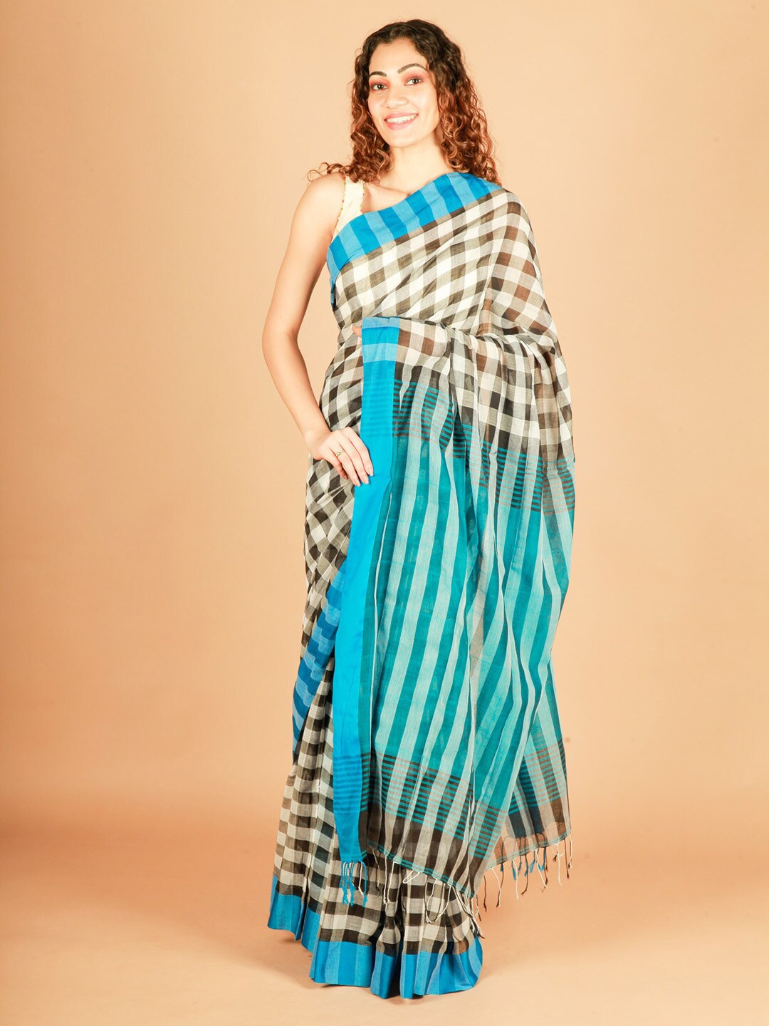 

ReshaWeaves Checked Pure Cotton Saree, Blue