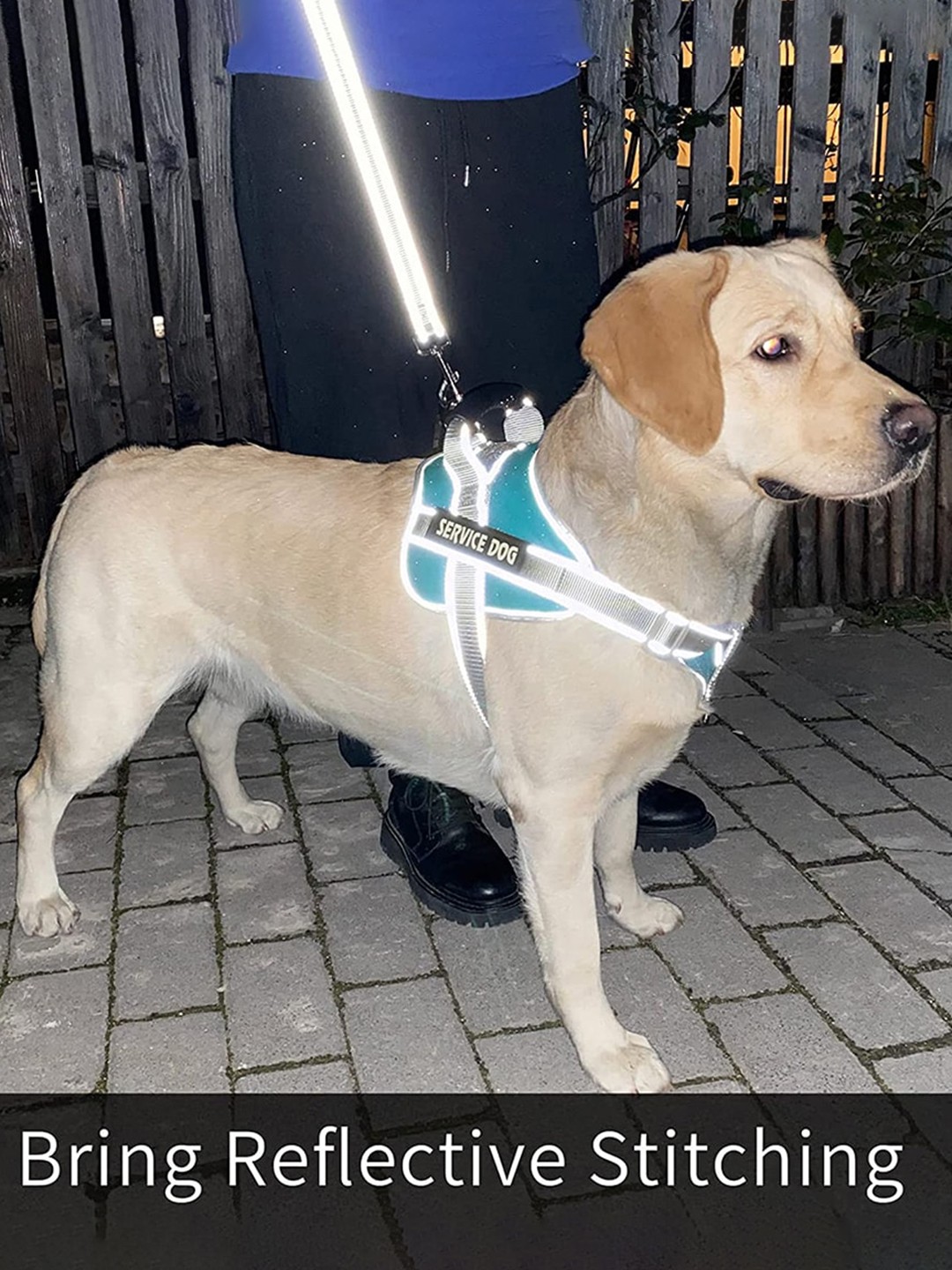 

Emily pets Textured Pet Harnesses, Blue