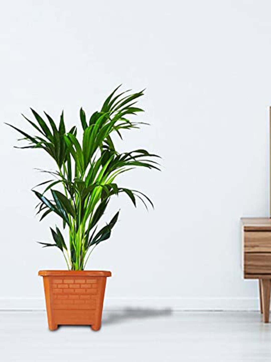 

TRUSTBASKET Earth Box 3-Pieces Brown Textured Plastic Planters