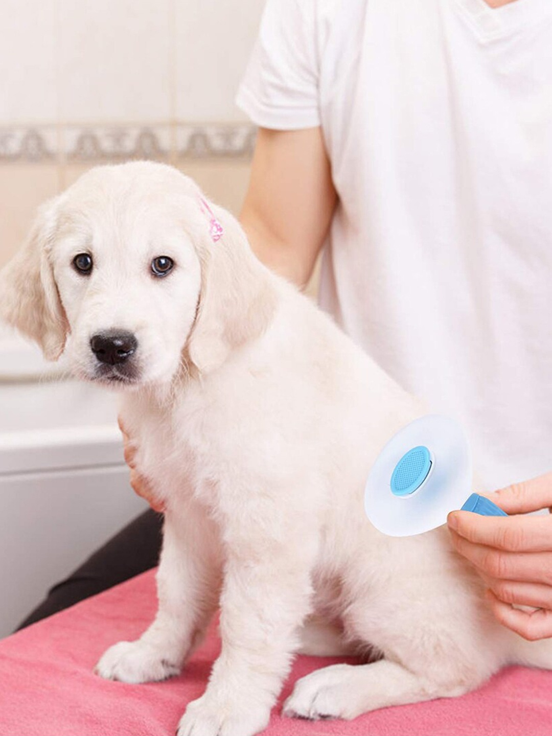

Emily pets Colourblocked Grooming Slicker Brush, Blue
