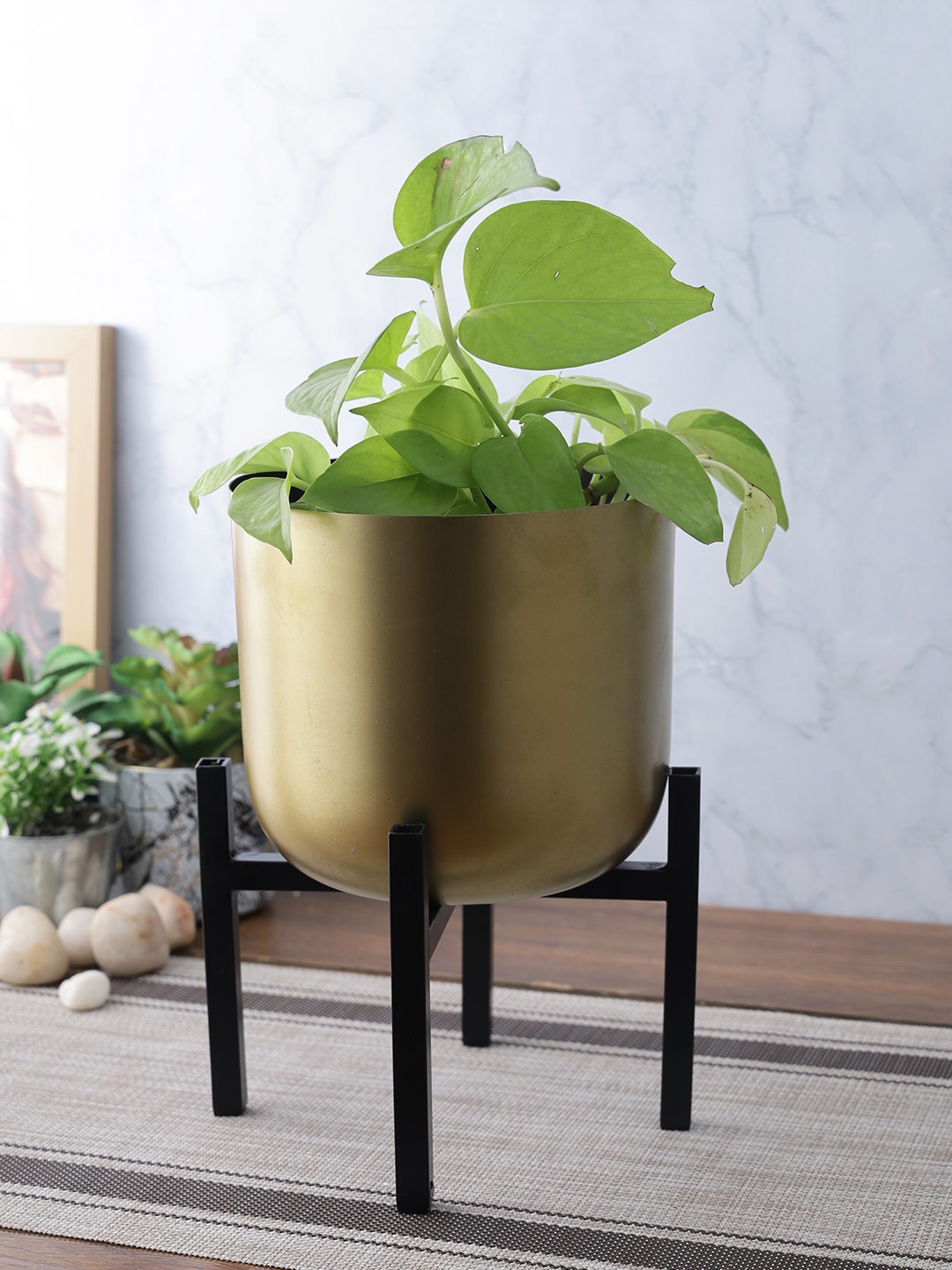 

Aapno Rajasthan Gold-Toned & Black Metal Planter With Stand
