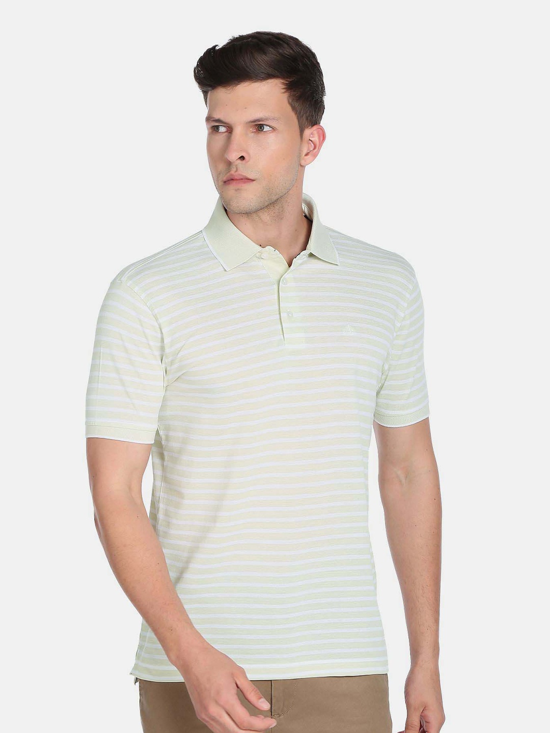 

Arrow Men Striped Polo Collar Pure Cotton T-shirt, Green