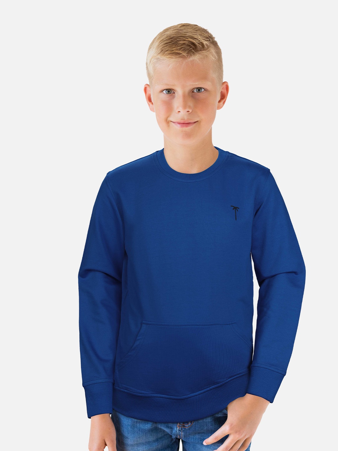 

Palm Tree Boys Full Sleeves Cotton Sweatshirt, Blue