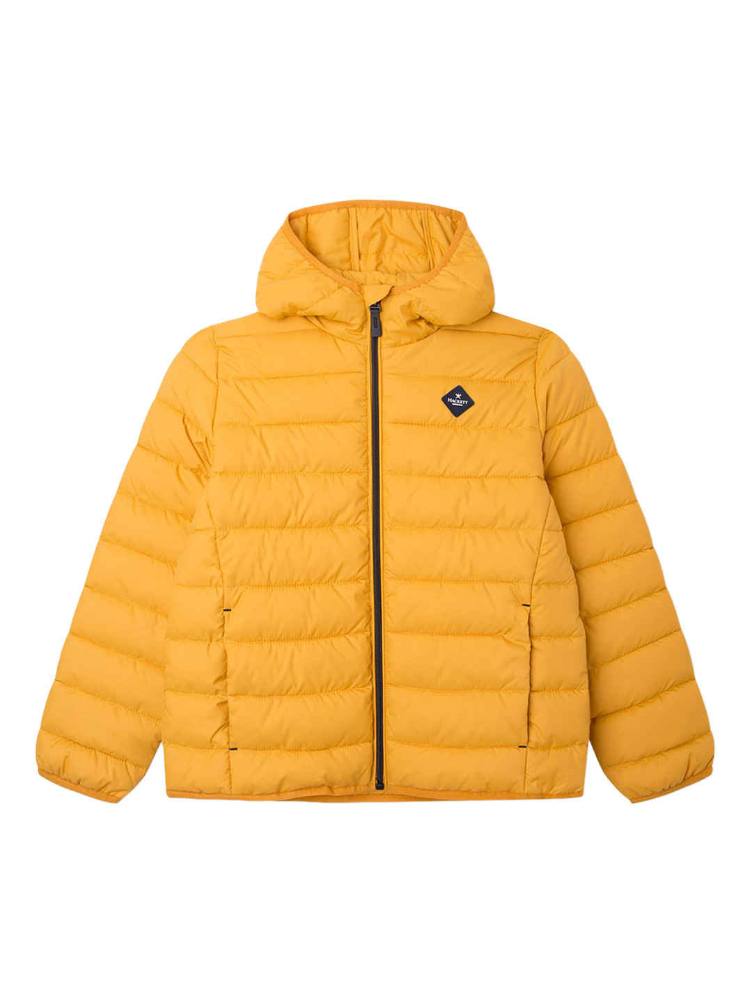 

HACKETT LONDON Boys Cotton Padded Jacket, Yellow