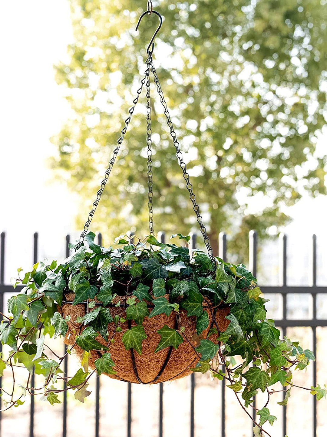 

BS AMOR Black & Brown 4 Pieces Metal Hanging Planter Basket