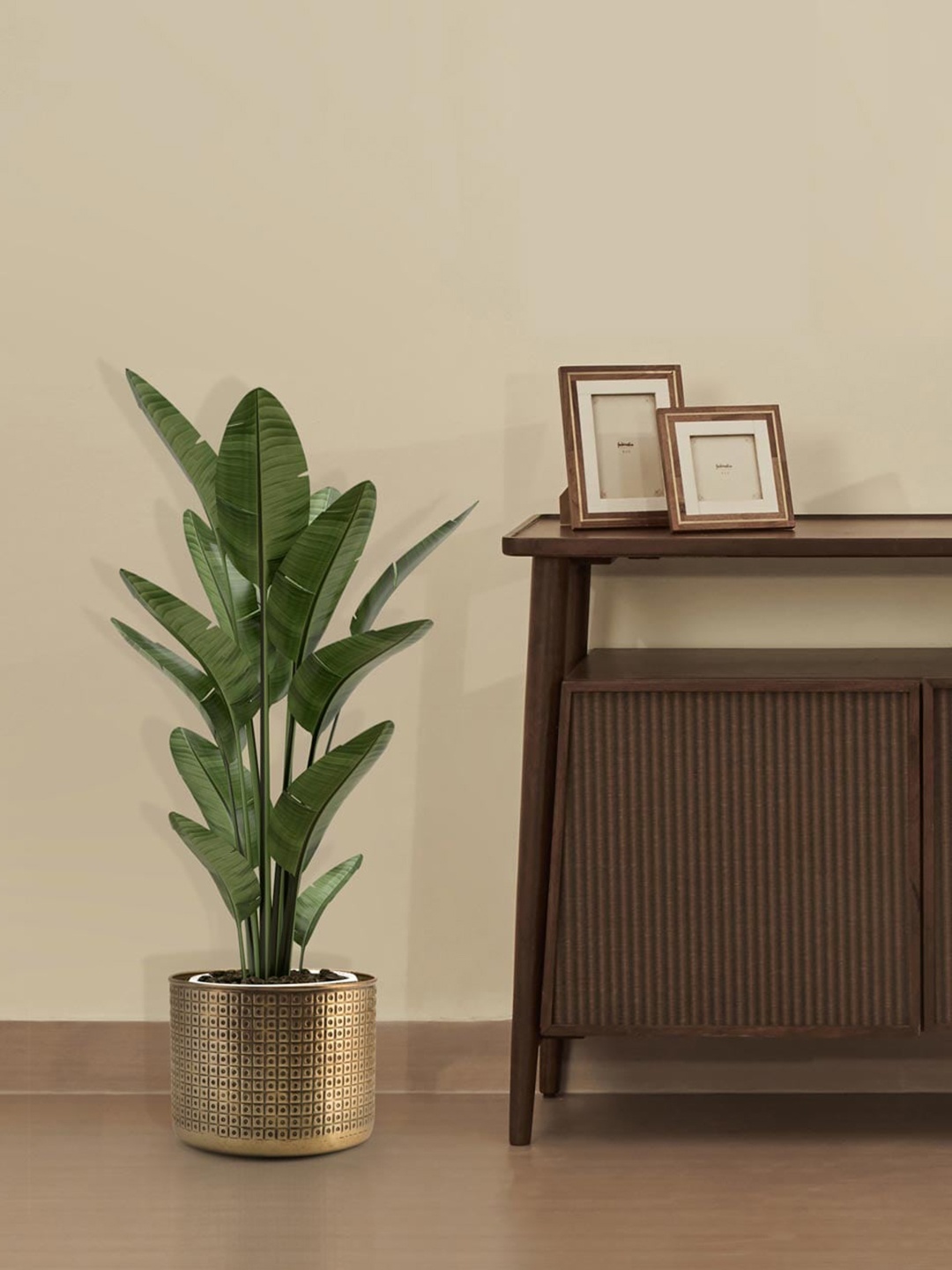 

Fabindia Inaaya Antique Brass Embossed Small Planter, Gold
