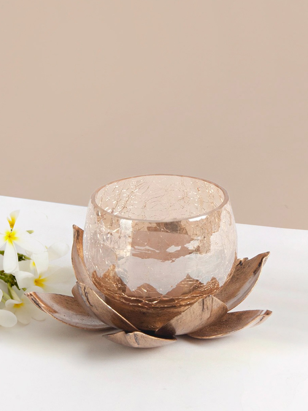 

Fabindia Raivath Brown Textured T-Lite Candle Holder