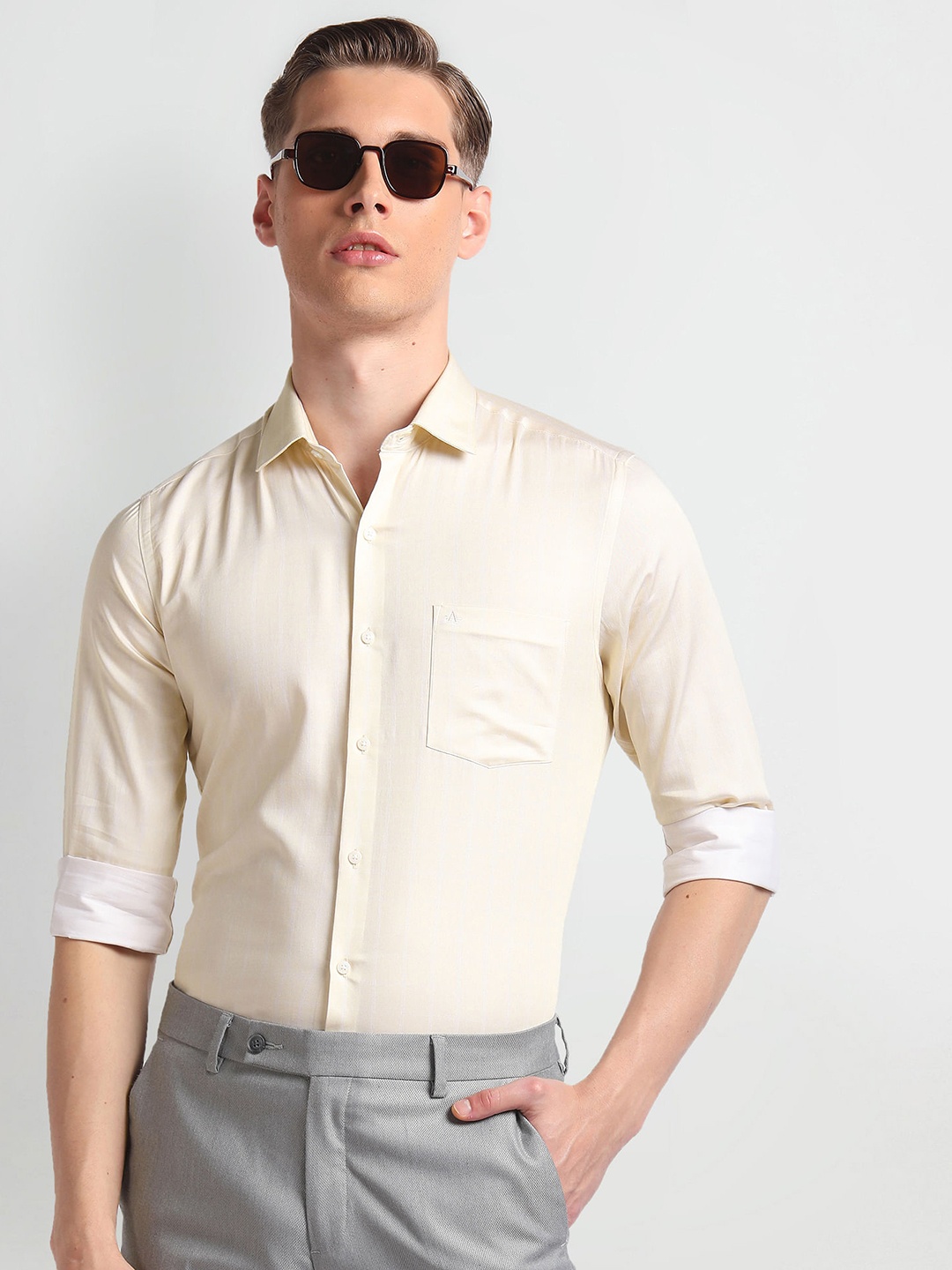 

Arrow Slim Fit Cotton Formal Shirt, Beige