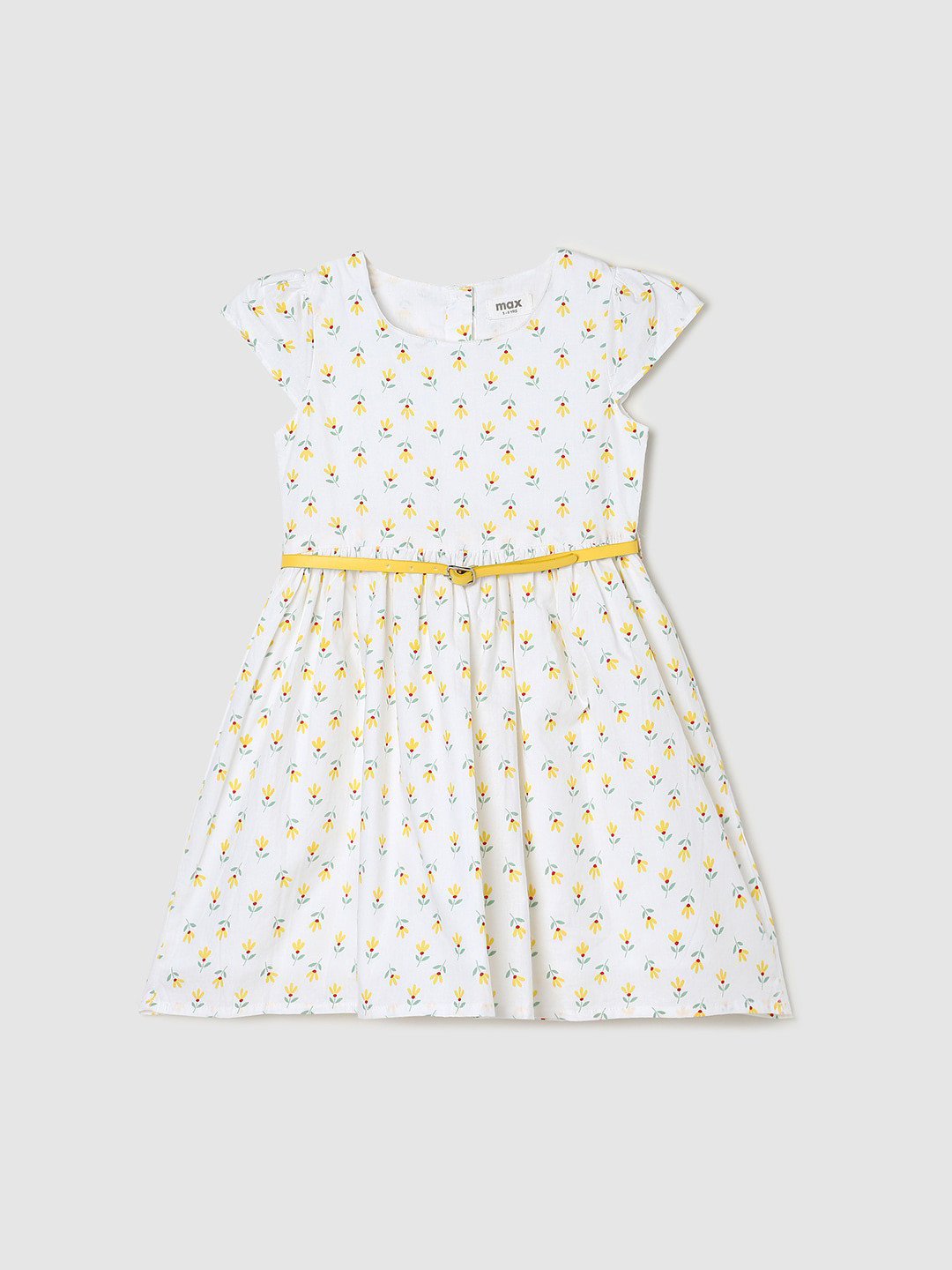 

max Cap Sleeves Floral Print Fit & Flare Cotton Dress, White