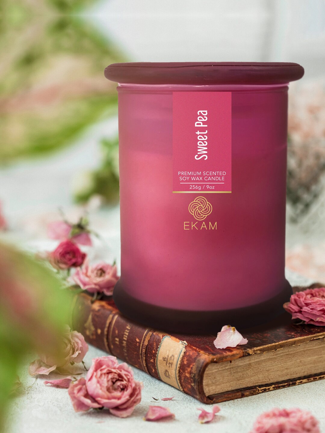 

Ekam Ring Jar Soy Magenta Wax Sweet Pea Scented Candle