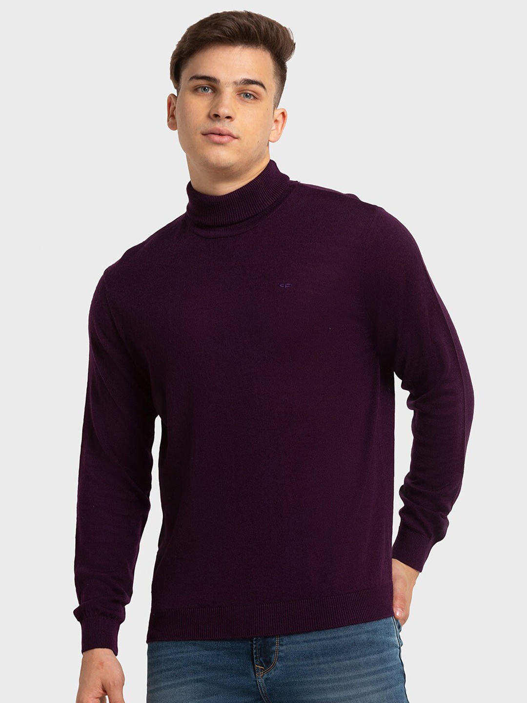 

ColorPlus Men Turtle Neck Pullover Sweater, Purple