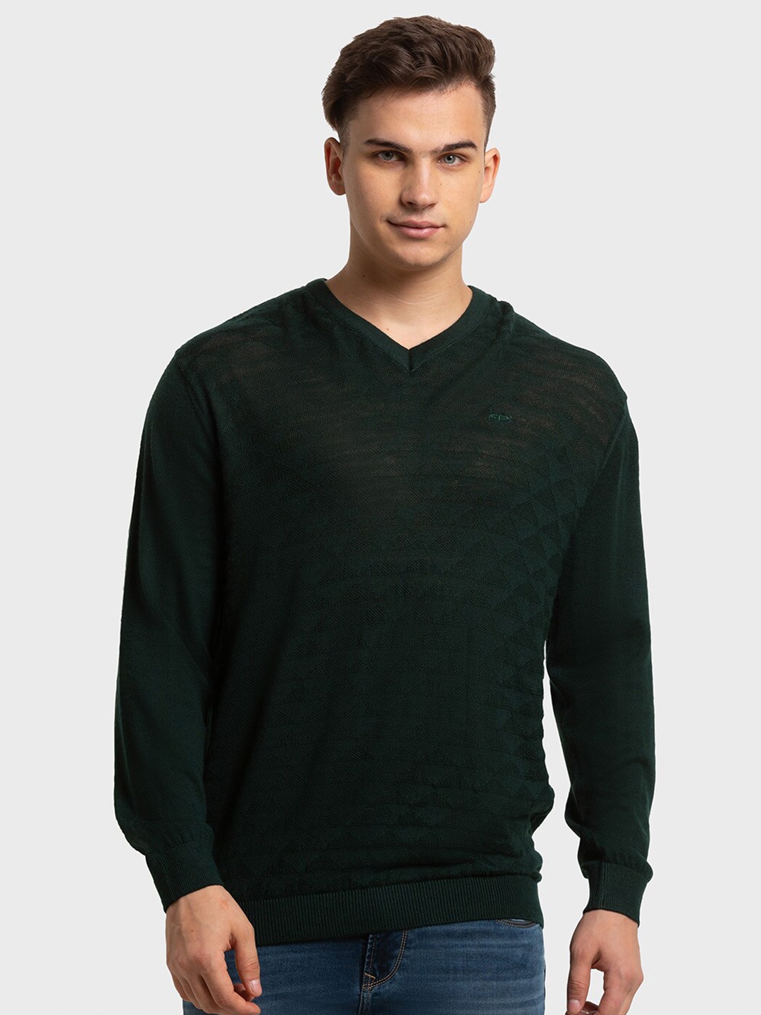 

ColorPlus Men Self Design V-Neck Pullover Sweater, Green