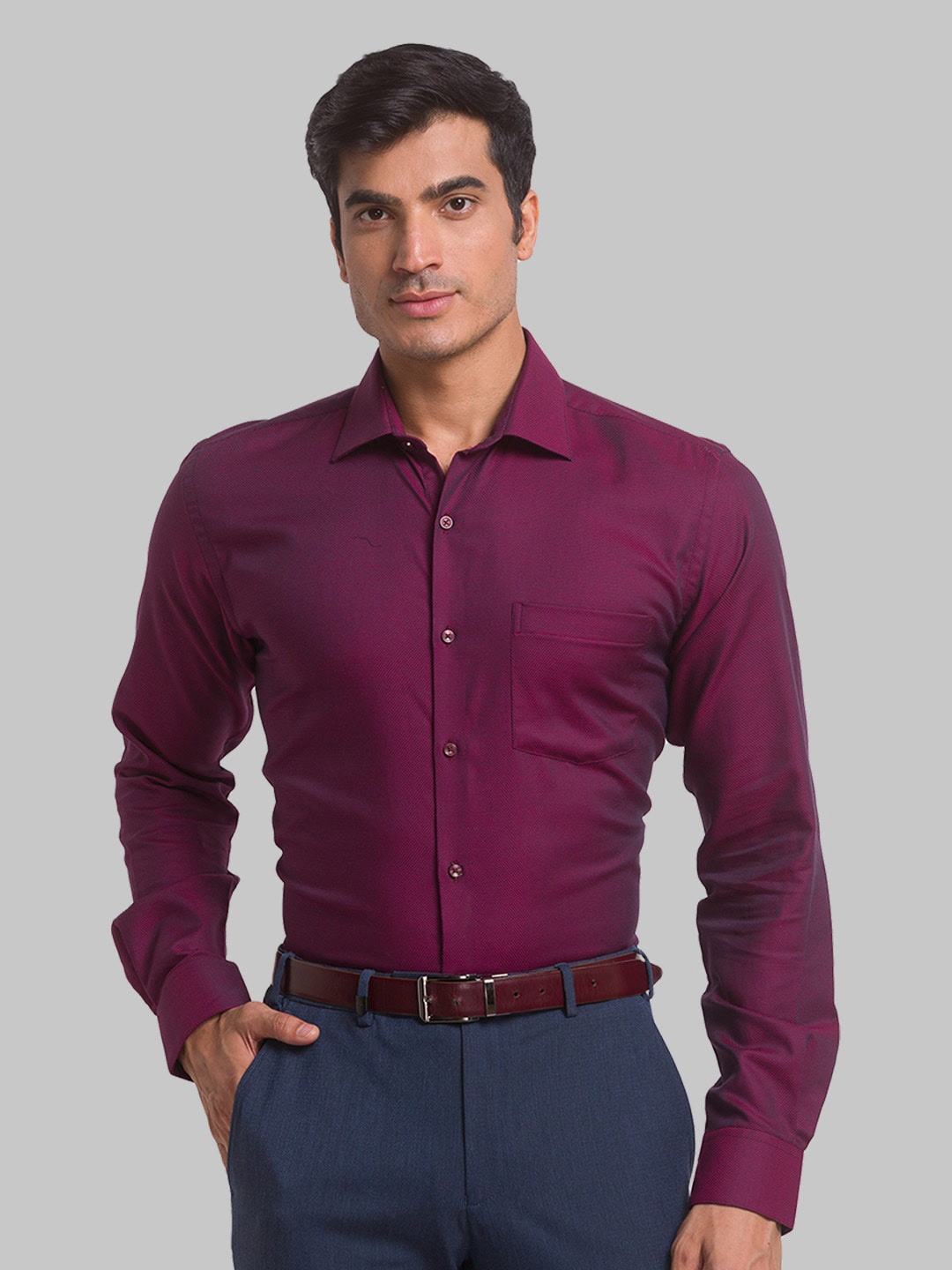 

Park Avenue Men Slim Fit Formal Cotton Shirt, Purple