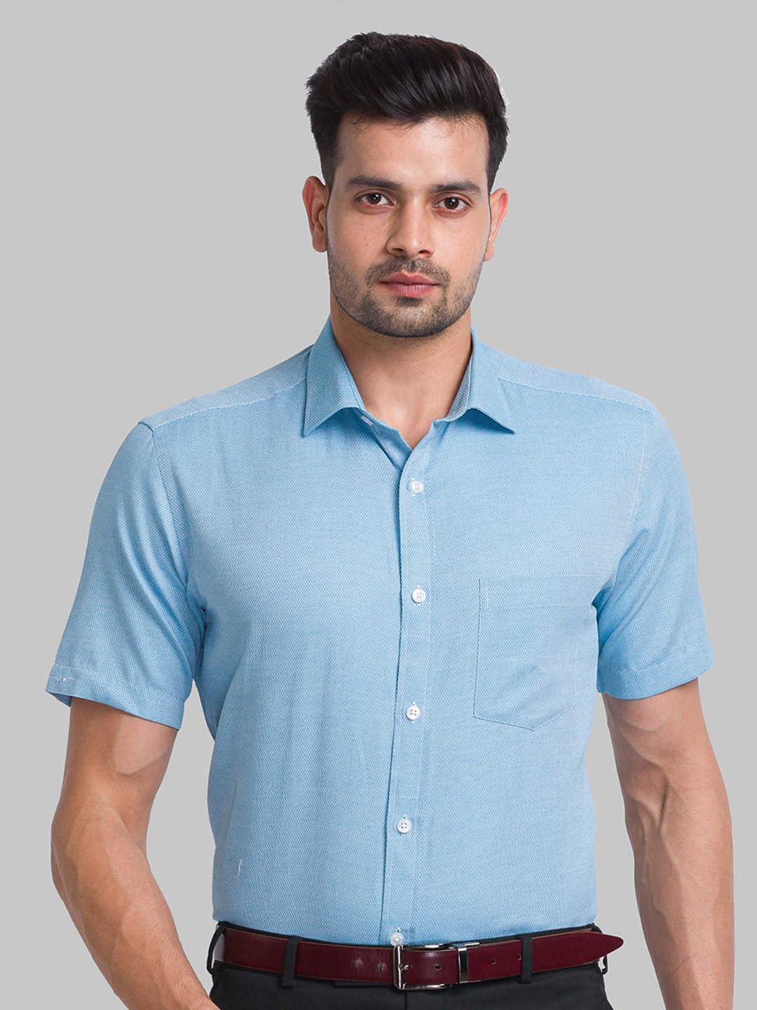 

Park Avenue Men Cotton Formal Shirt, Blue