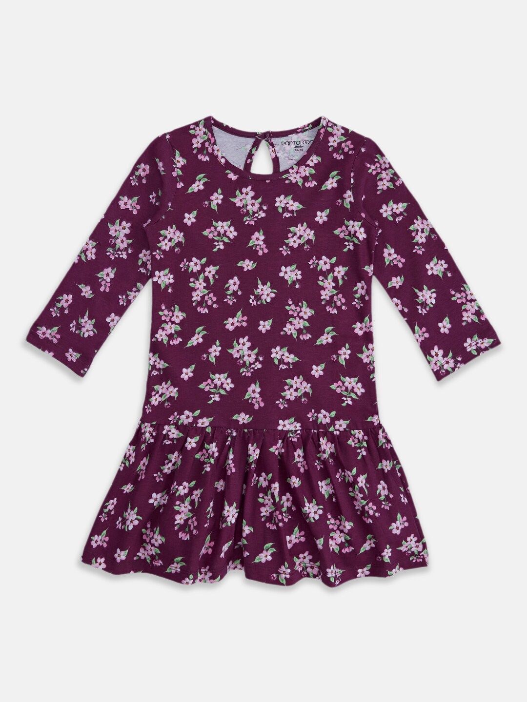 

Pantaloons Junior Girls Floral Drop-Waist Dress, Purple