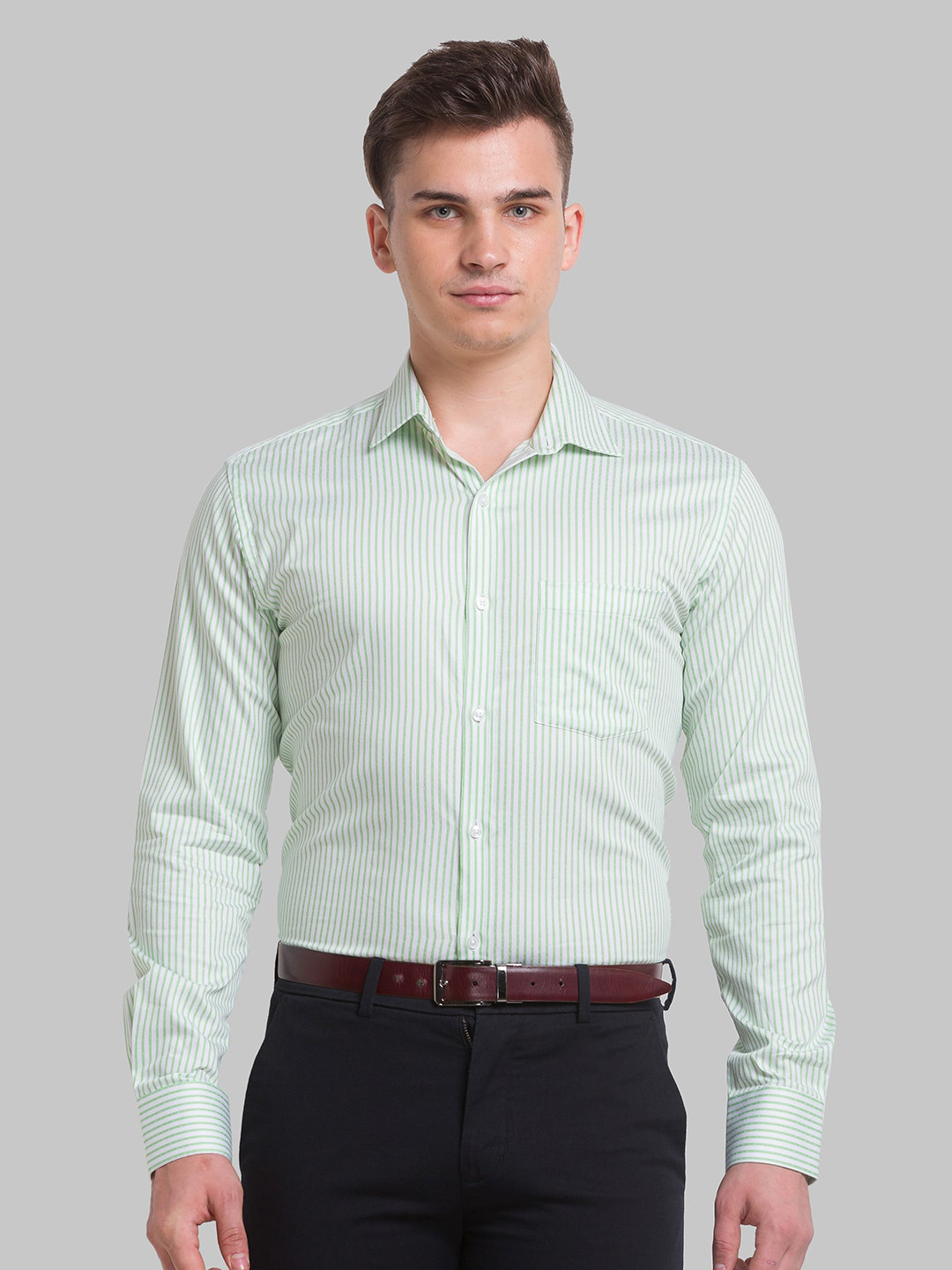 

Park Avenue Men Slim Fit Striped Formal Cotton Shirt, Green