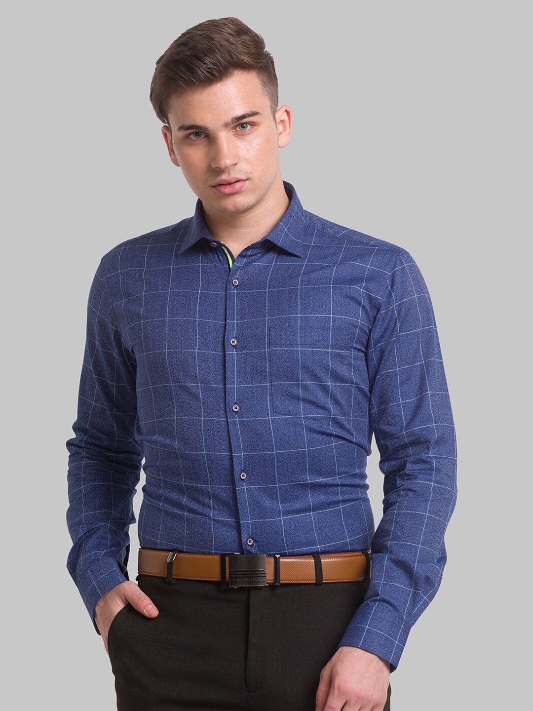 

Park Avenue Men Checks Cotton Formal Shirt, Blue