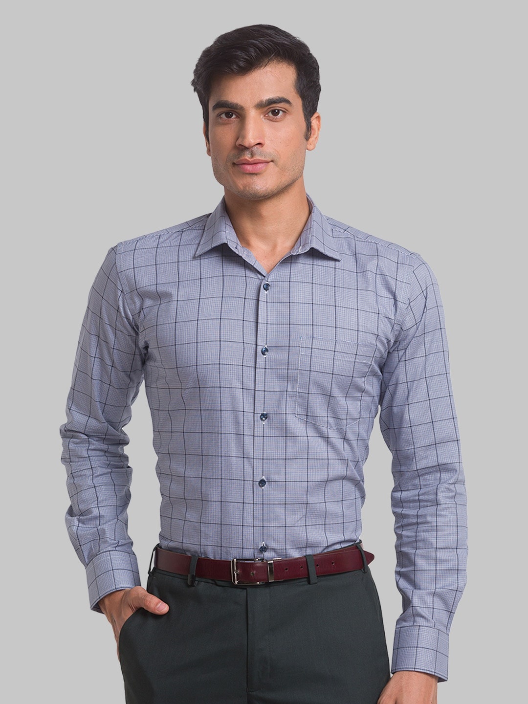 

Park Avenue Men Checked Spread Collar Cotton Slim Fit Formal Shirt, Blue