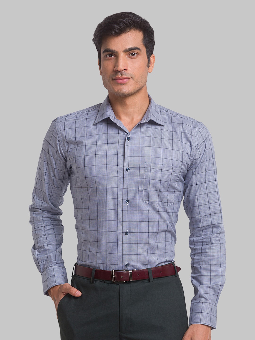 

Park Avenue Men Checked Spread Collar Slim Fit Formal Shirt, Blue
