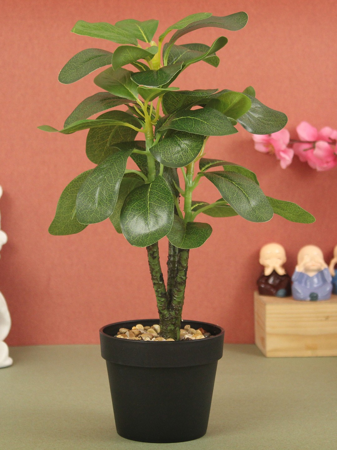 

TIED RIBBONS Green & Black Artificial Quercus Plant With Pot