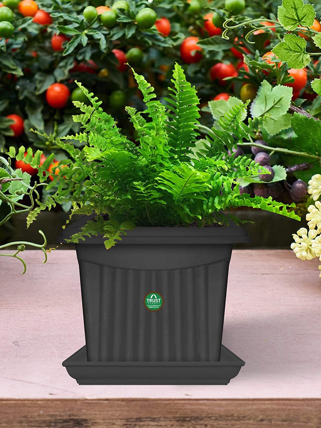

TRUSTBASKET 6-Pcs Black Square Saucers Planters
