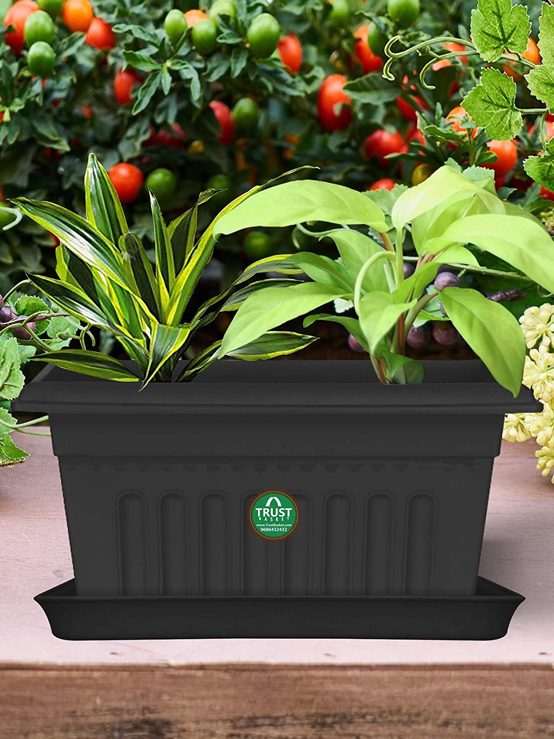 

TRUSTBASKET 3 Pcs Black Textured Planter Saucers