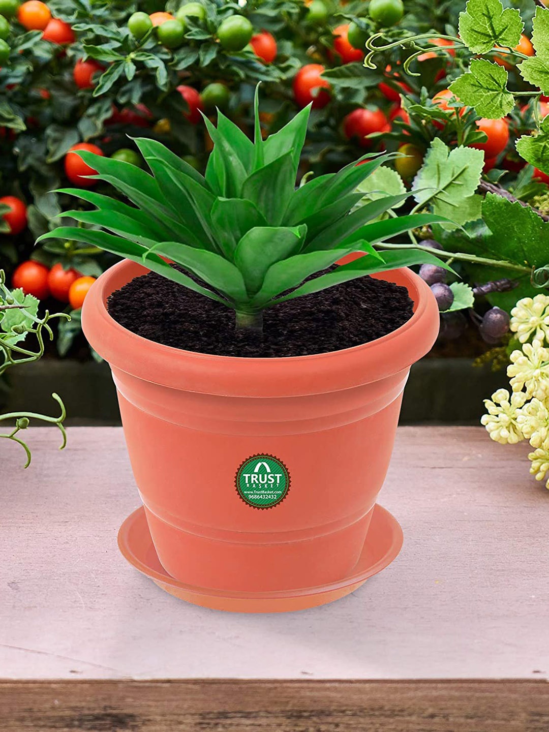 

TRUSTBASKET 12 Pcs Brown Brand Logo Detailing Planter Saucers