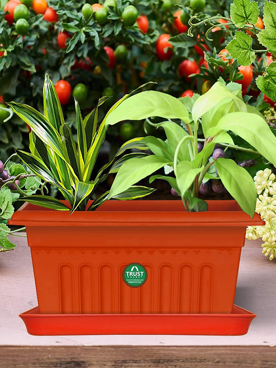 

TRUSTBASKET 12 Pcs Brown Brand Logo Detailing Planter Saucers