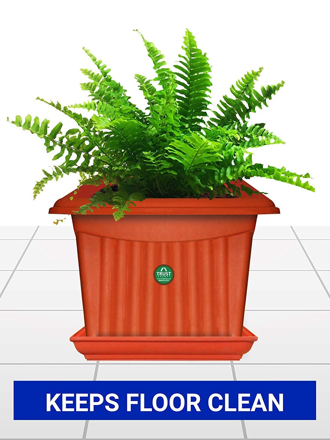 

TRUSTBASKET 3 Pcs Brown Brand Logo Detailing Planter Saucers