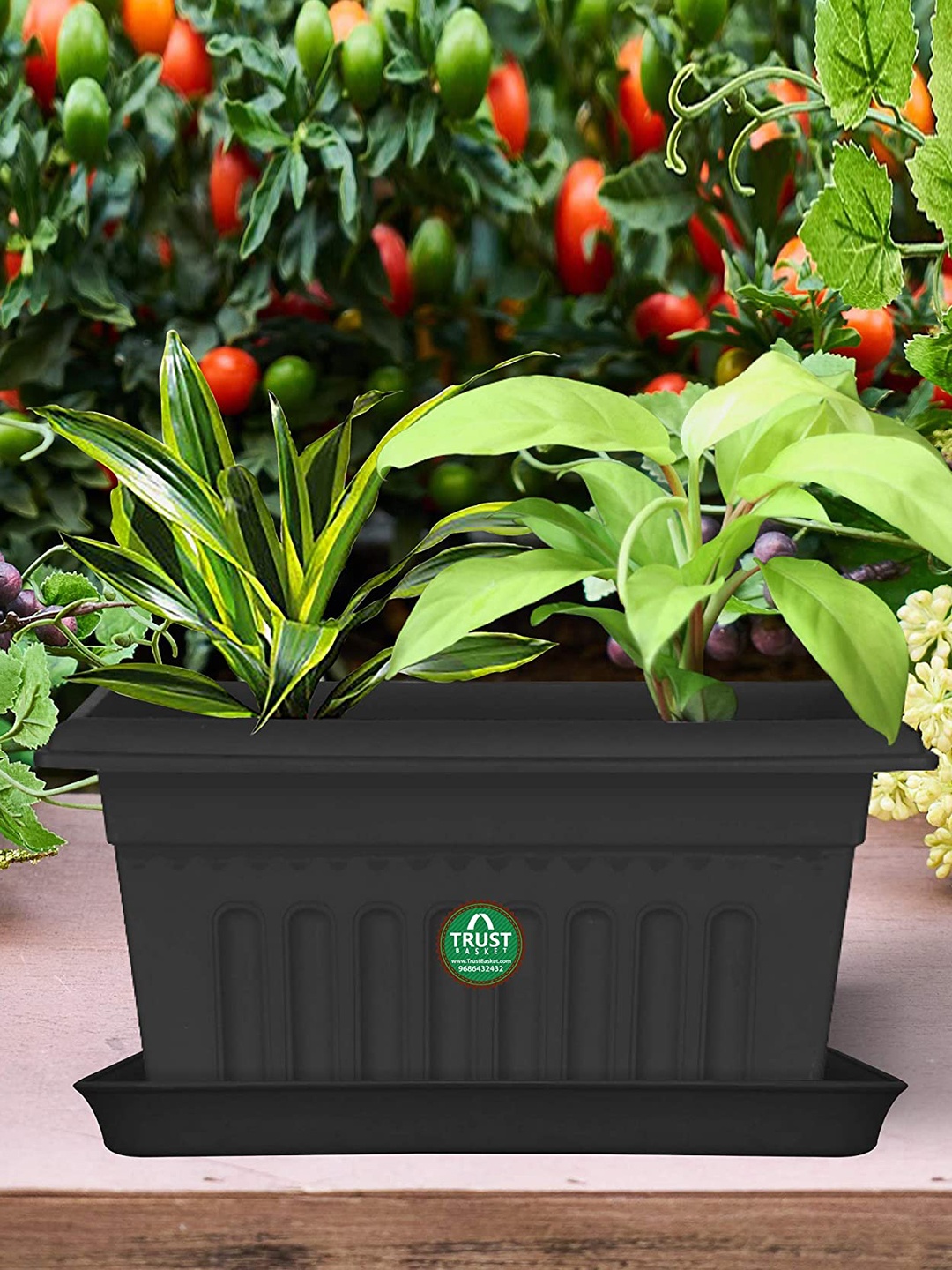 

TrustBasket 12-Pcs Black UV Treated Rectangular Saucers Planters