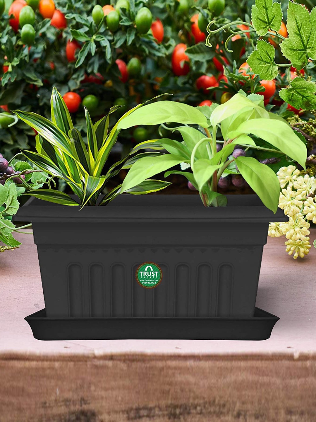 

TRUSTBASKET 6-Pcs Black Rectangular Saucers Planters