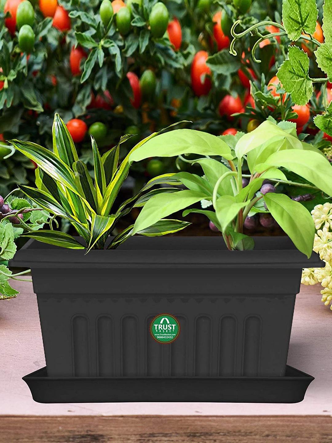 

TrustBasket 6-Pcs Black UV Treated Rectangular Saucers Planters