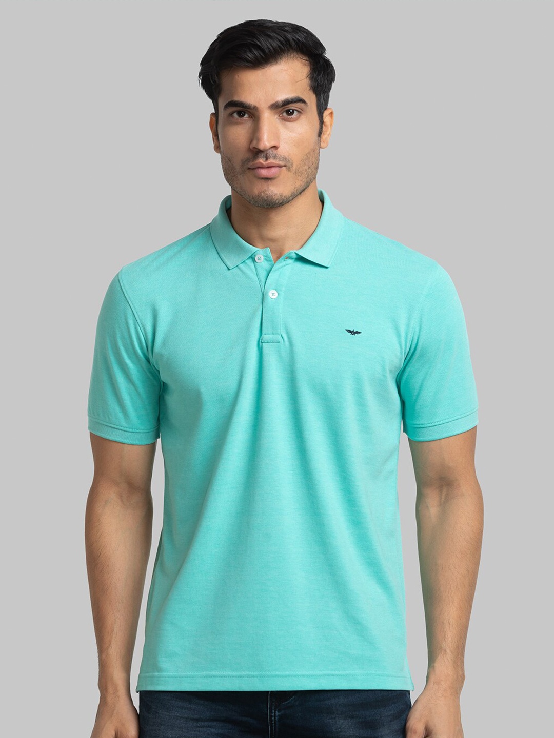 

Park Avenue Men Polo Collar Slim Fit T-shirt, Blue