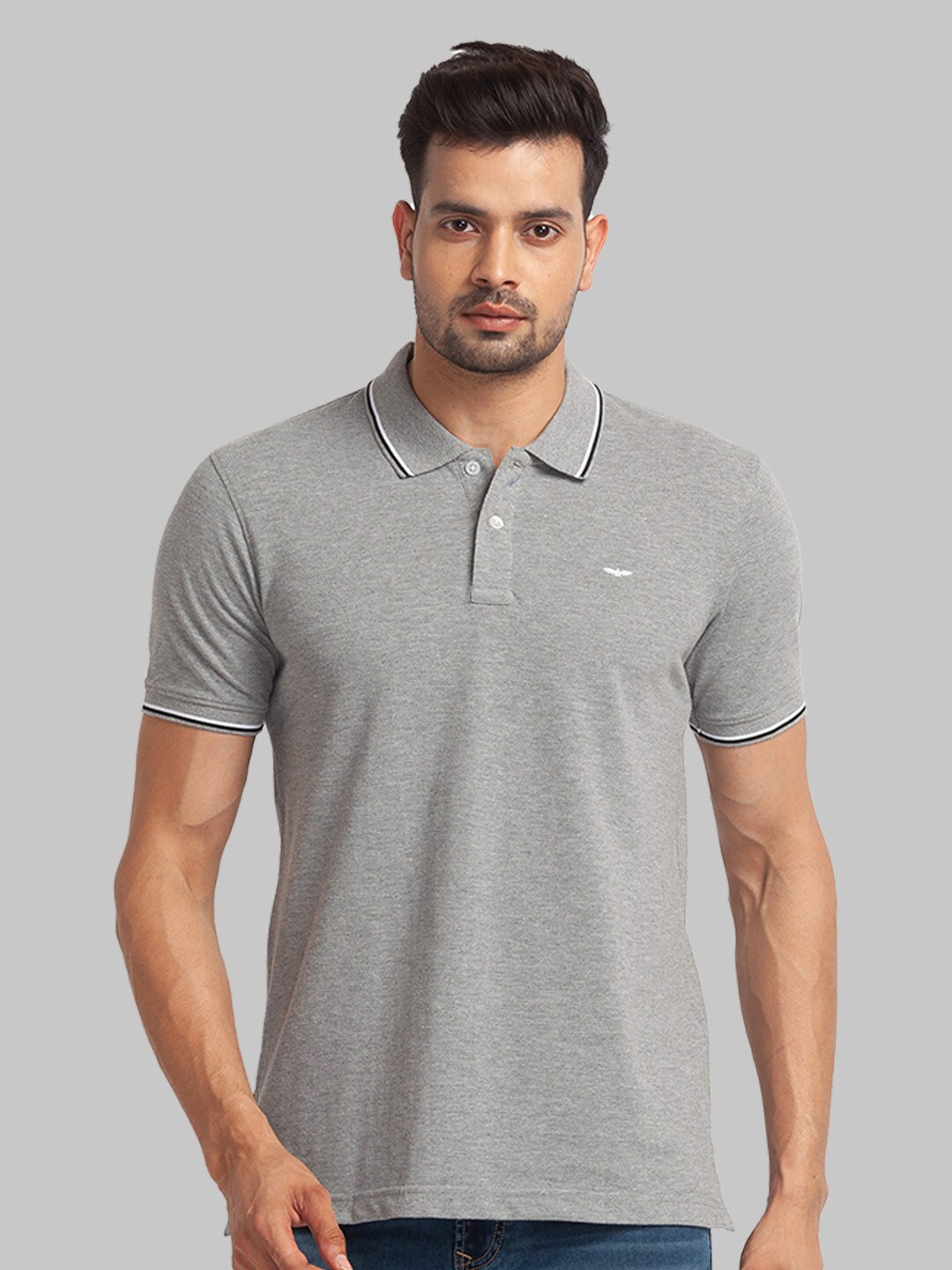 

Park Avenue Men Polo Collar Cotton Slim Fit T-shirt, Grey melange