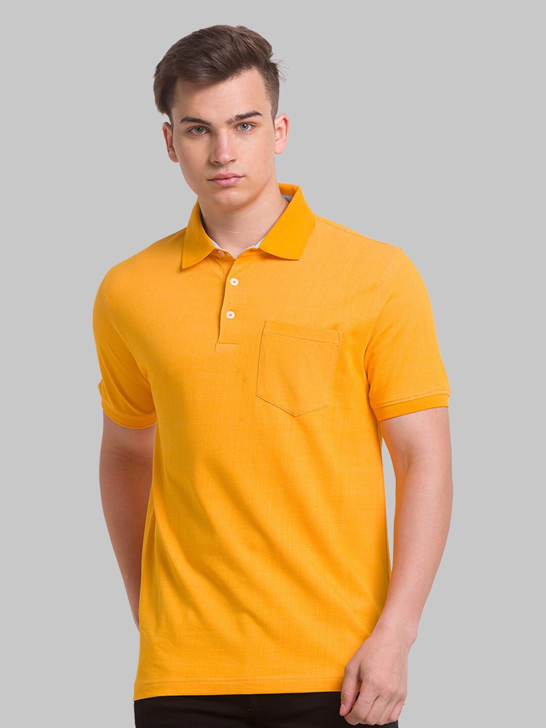 

Park Avenue Men Polo Collar Cotton T-shirt, Yellow